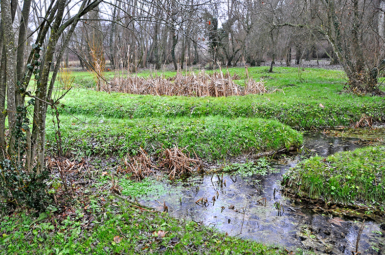 Fonts de Folgueroles