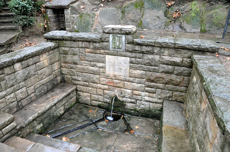 Font de la Ricardera de Folgueroles