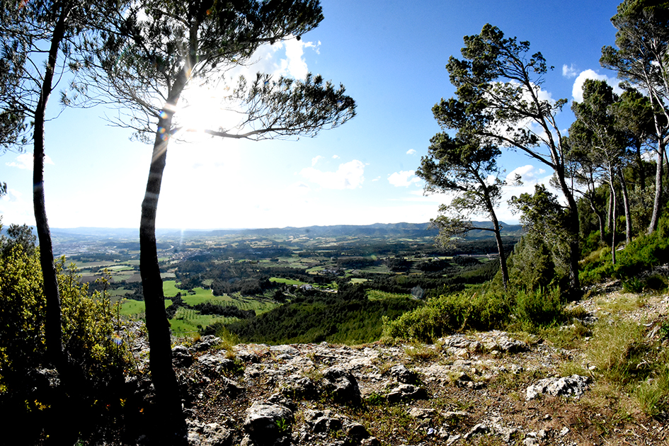 Mirador de la Conca d'Òdena al Puig d'Aguilera ***