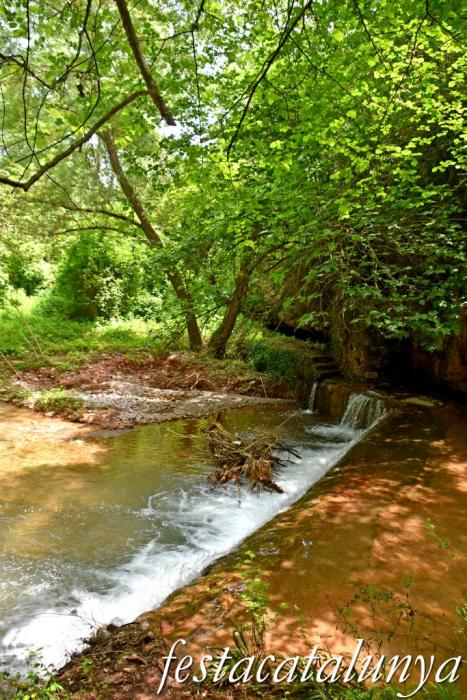 Carme - Cinglera del Balç de les Roquetes