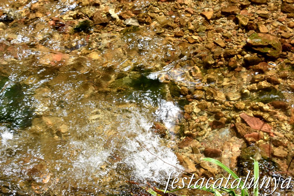 Carme - Cinglera del Balç de les Roquetes