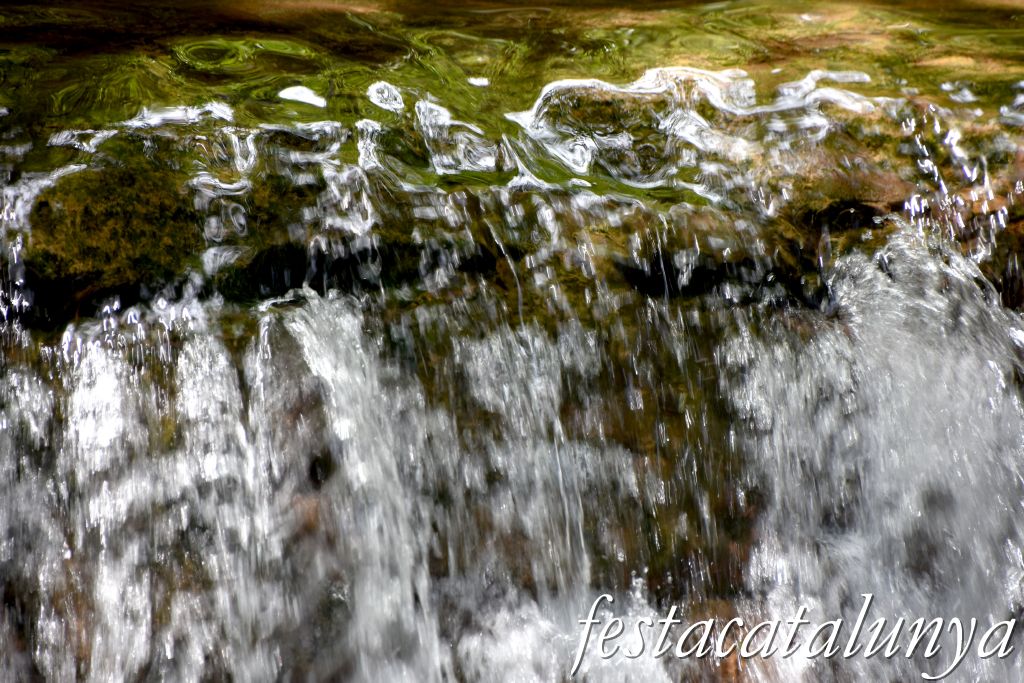 Carme - Cinglera del Balç de les Roquetes