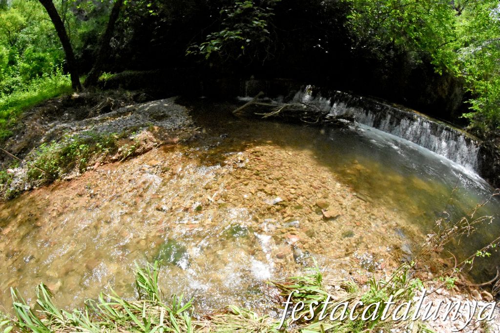 Carme - Cinglera del Balç de les Roquetes