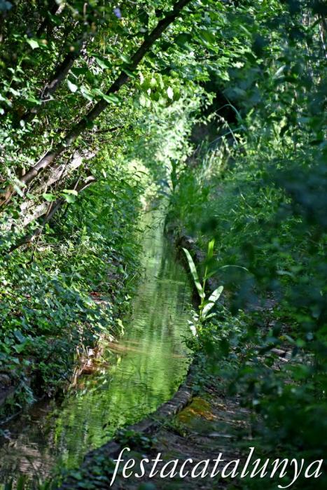 Carme - Rutes de l'Aigua: Itinerari pel Rec