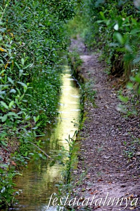 Carme - Rutes de l'Aigua: Itinerari pel Rec