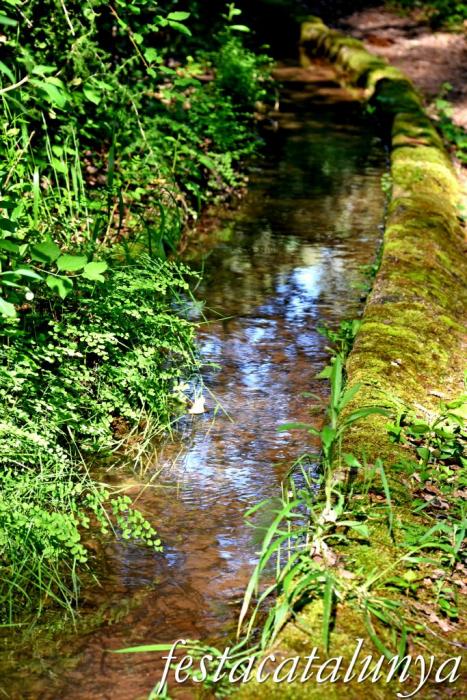 Carme - Rutes de l'Aigua: Itinerari pel Rec