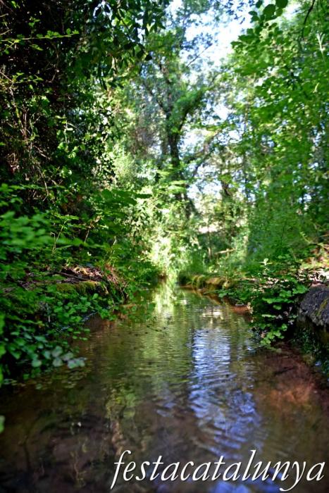 Carme - Rutes de l'Aigua: Itinerari pel Rec