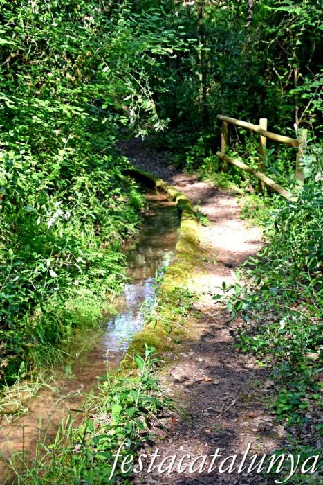 Carme - Rutes de l'Aigua: Itinerari pel Rec