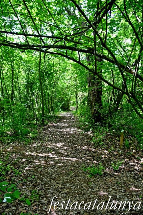 Carme - Cinglera del Balç de les Roquetes