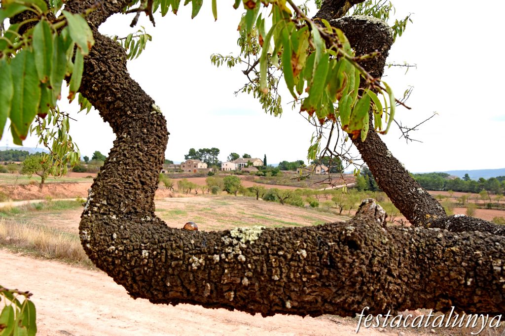 Òdena - Masia Can Mercader