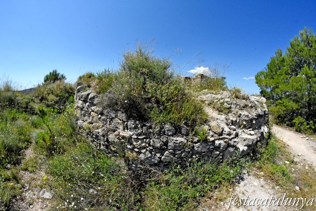 Santa Margarida de Montbui - Mirador de la muntanya del Pi (Torre carlina)