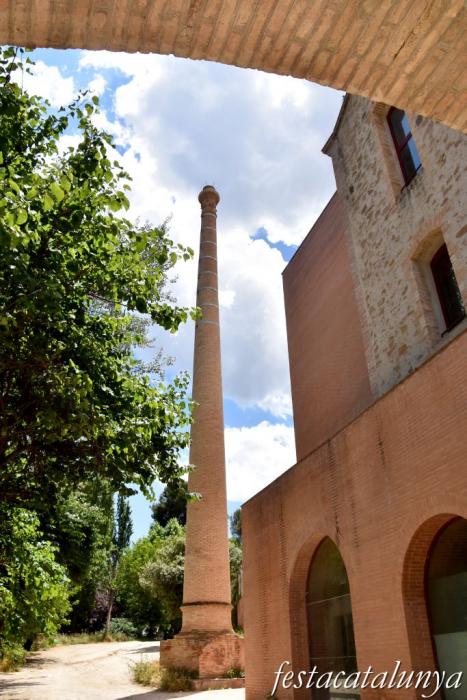 Santa Margarida de Montbui - La Vinícola