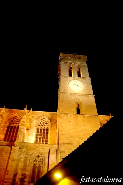 Colegiata-Basílica de Santa Maria de la Seu de Manresa ***