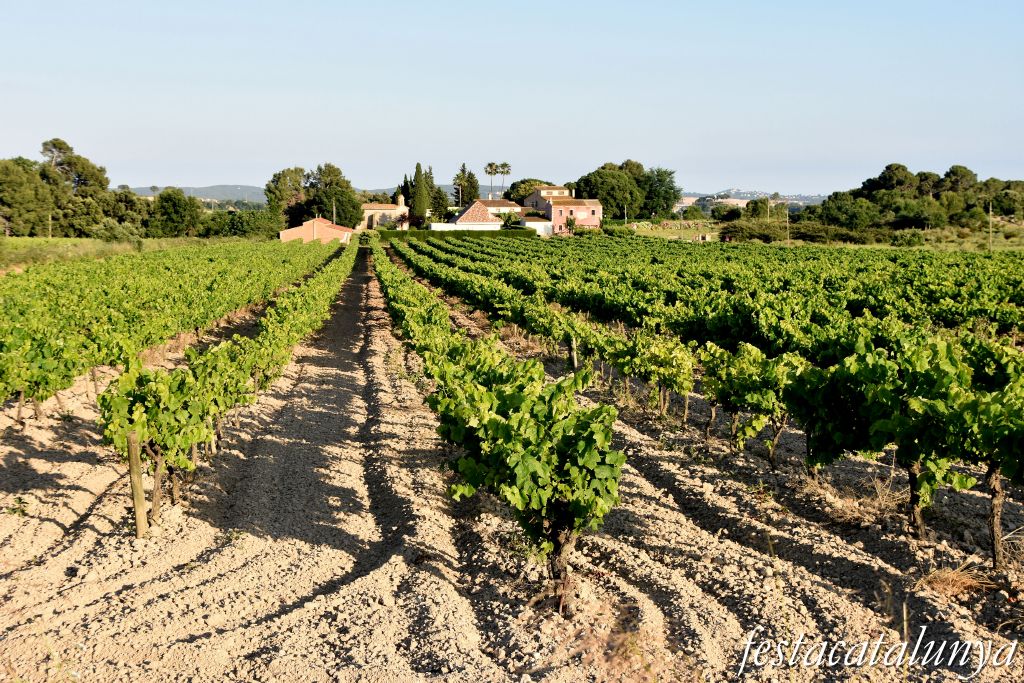 Sant Jaume dels Domenys - Ermita de la Mare de Déu dels Arquets