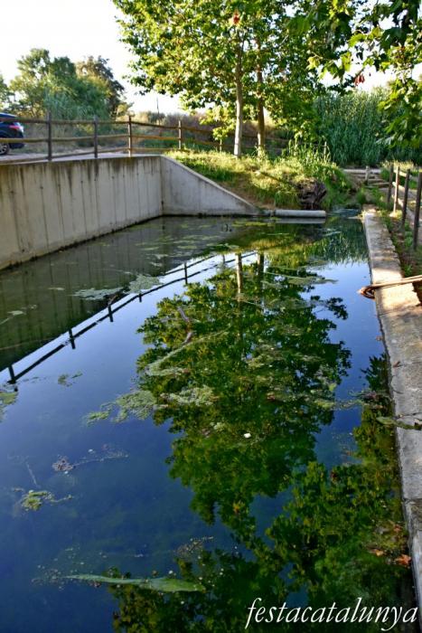 Sant Jaume dels Domenys - Font de la Bassa Gran de Sant Jaume dels Domenys