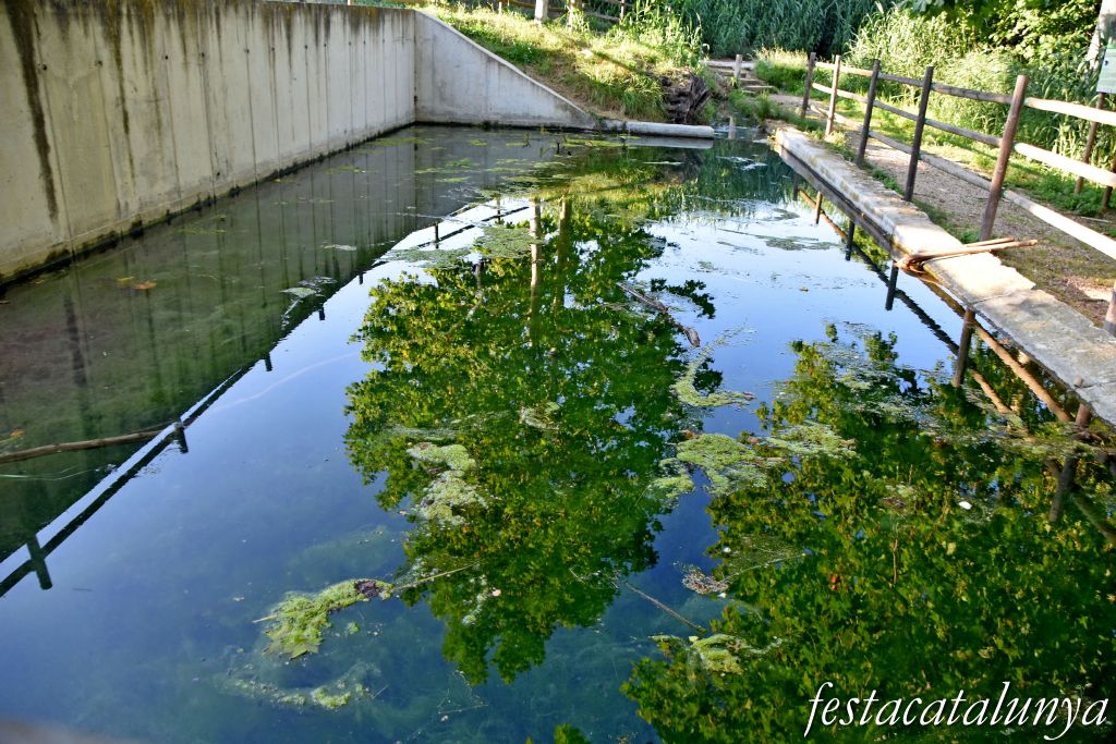 Font i safareigs de la Bassa Gran de Sant Jaume dels Domenys