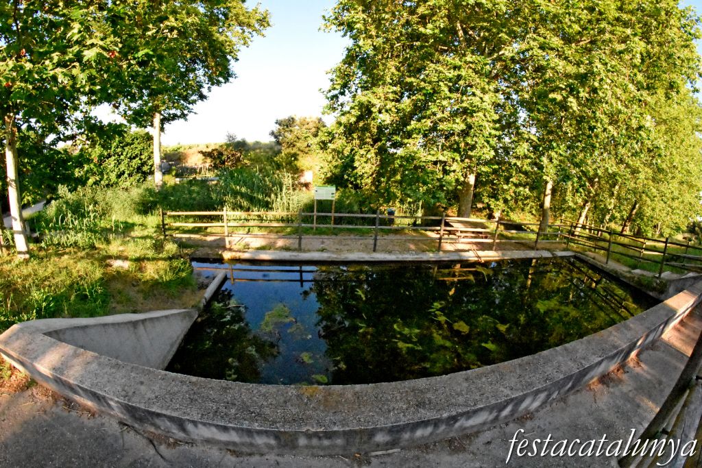 Sant Jaume dels Domenys - Font de la Bassa Gran de Sant Jaume dels Domenys