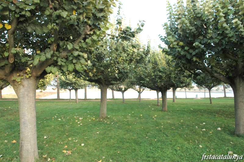 Manresa - Parc de l’Agulla