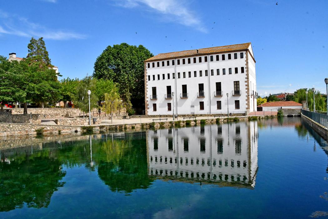 Molí de la Vila i altres molins paperers ***