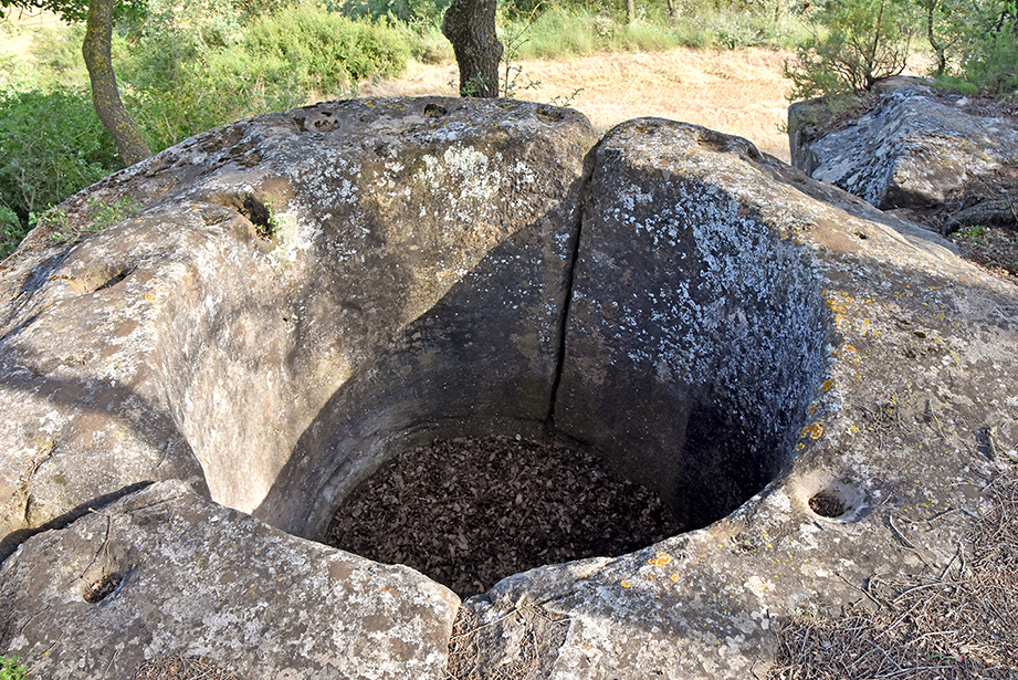 Cups de vi excavats a la Roca als Prats de Rei