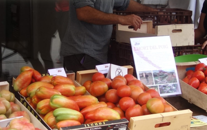 Festa del tomàquet del Bages