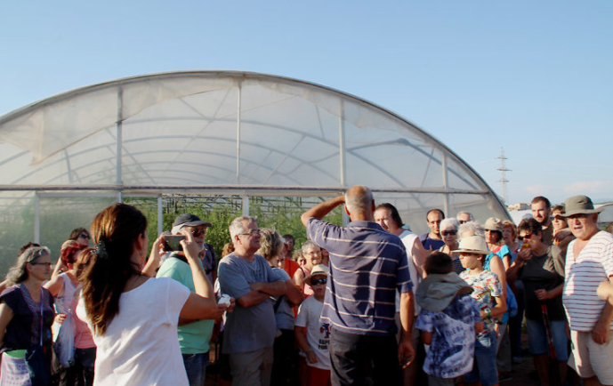 Festa del tomàquet del Bages
