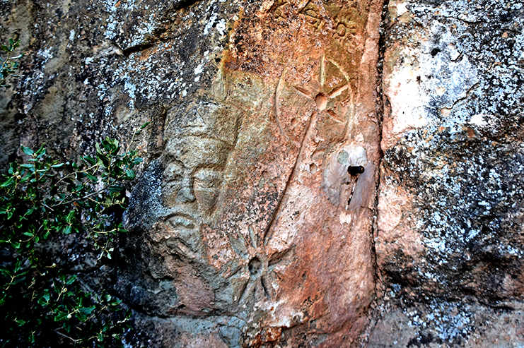 Gravats a la roca prop de Solanelles als Prats de Rei