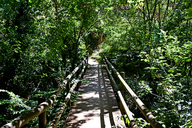 Paratge de la Malesa, a tocar el riu d'Agost o de Gost a la Torre de Claramunt ***
