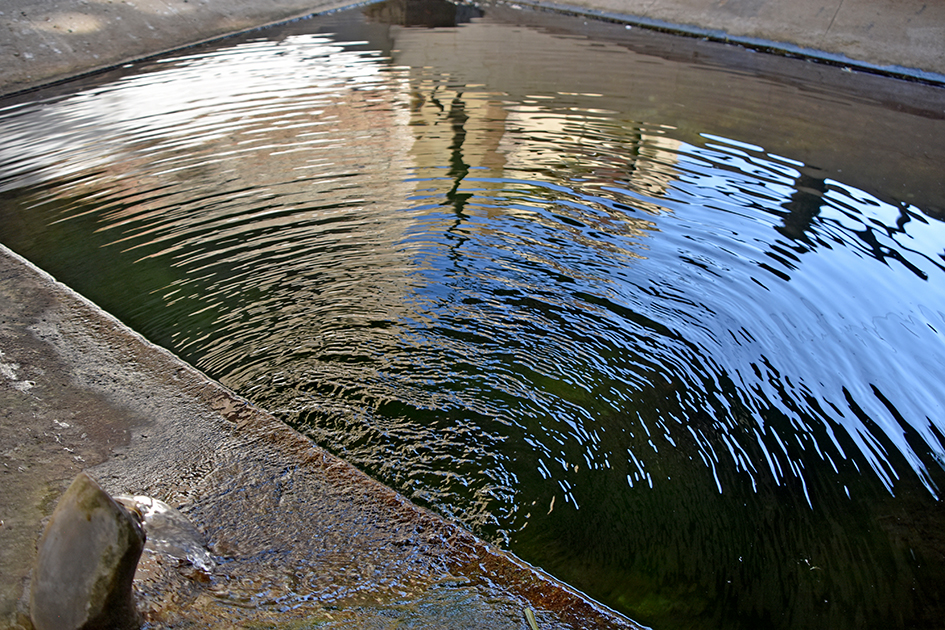 Safareig de Vallbona d'Anoia