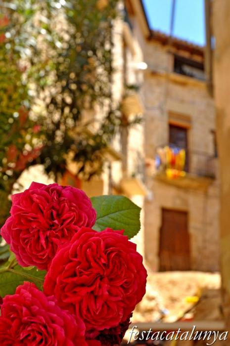 Caseres - Nucli històric