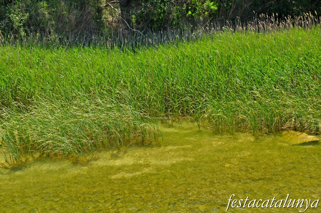 Caseres - Riu Algars