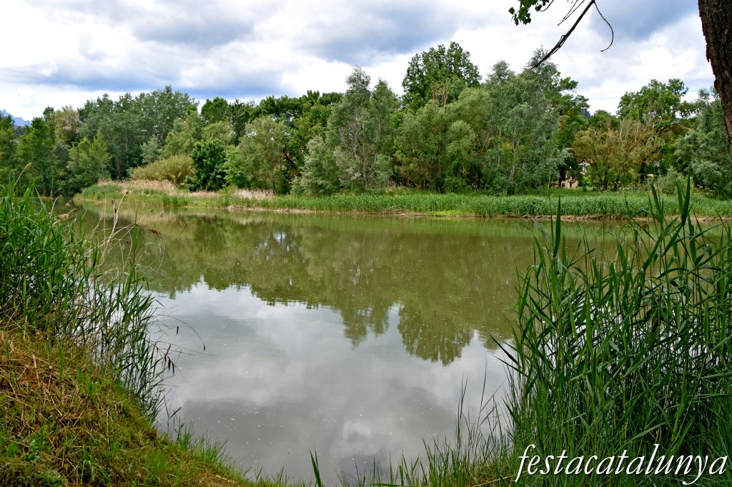 Aiguabarreig de dos rius al terme de Castellgalí: Cardener i Llobregat 