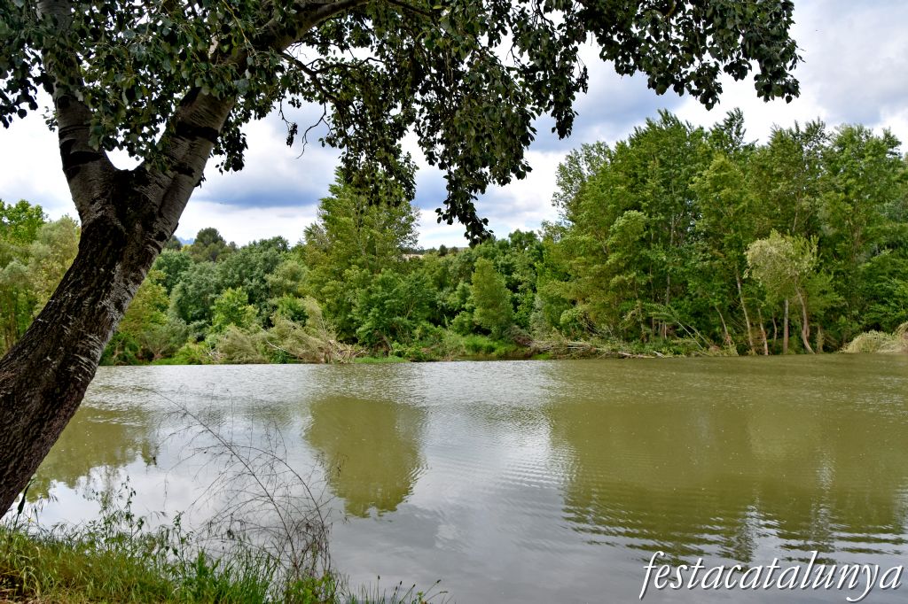Aiguabarreig de dos rius al terme de Castellgalí: Cardener i Llobregat 