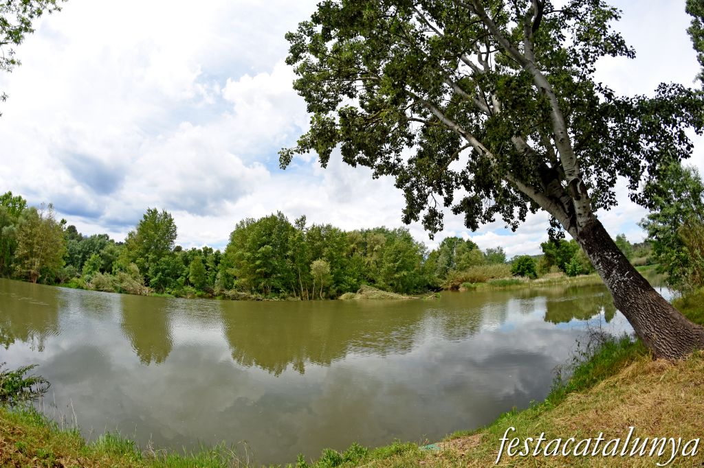 Aiguabarreig de dos rius al terme de Castellgalí: Cardener i Llobregat 