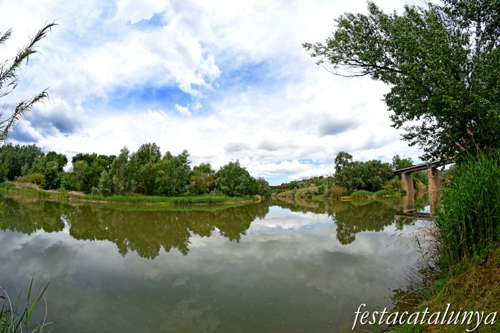Aiguabarreig de dos rius al terme de Castellgalí: Cardener i Llobregat 