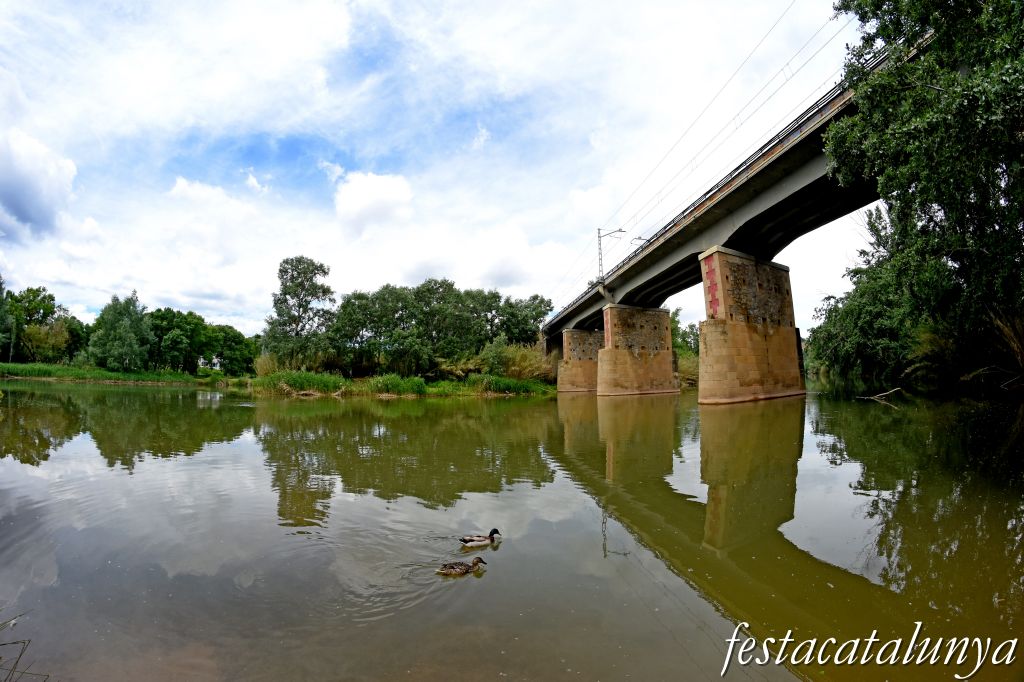 Aiguabarreig de dos rius al terme de Castellgalí: Cardener i Llobregat 