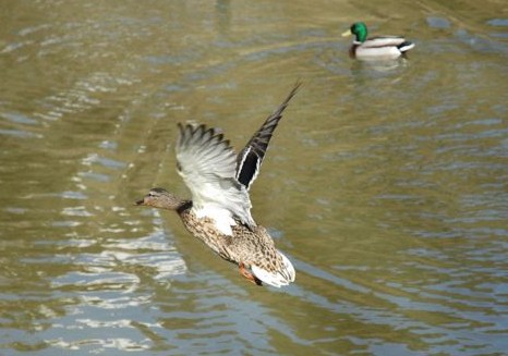 Altres llocs per visitar