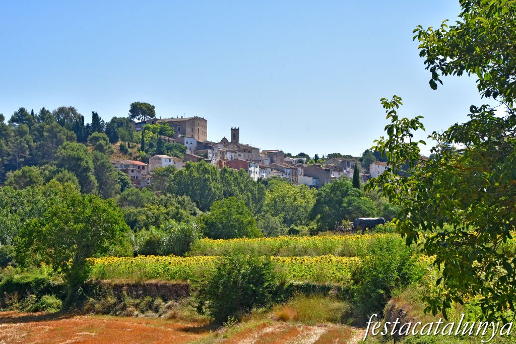 La Torre de Claramunt - Barraques de pedra seca - Barraca  i bassa de cal Cosme 