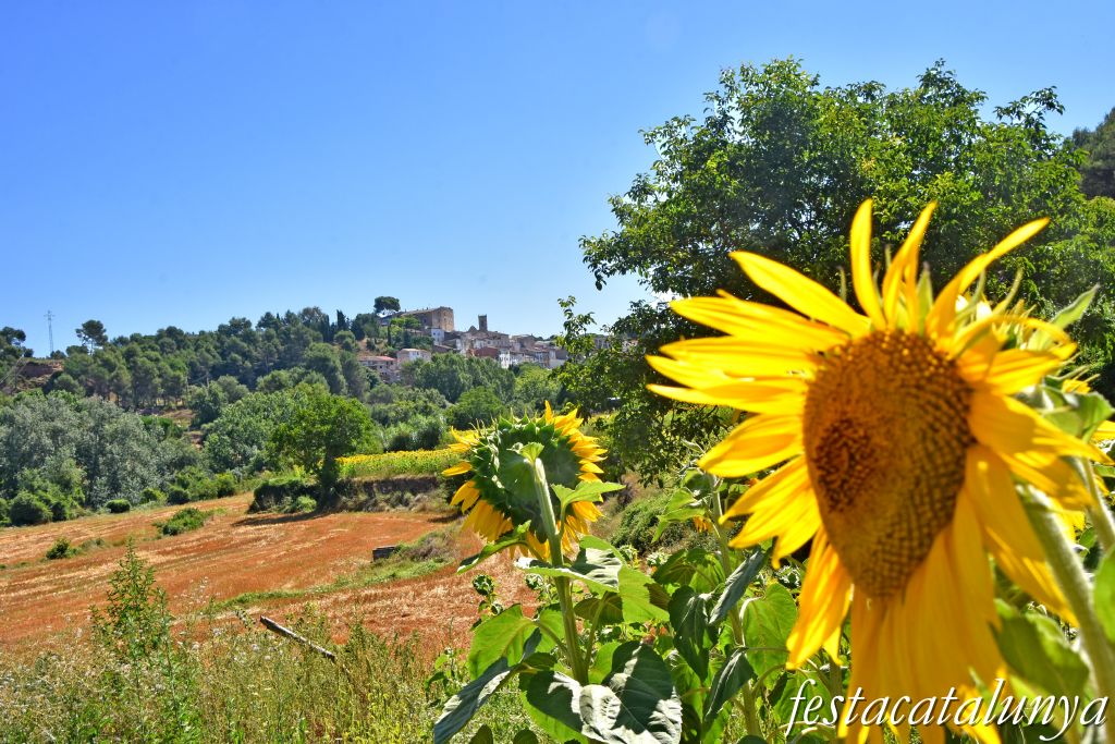 La Torre de Claramunt - Barraques de pedra seca - Barraca  i bassa de cal Cosme 