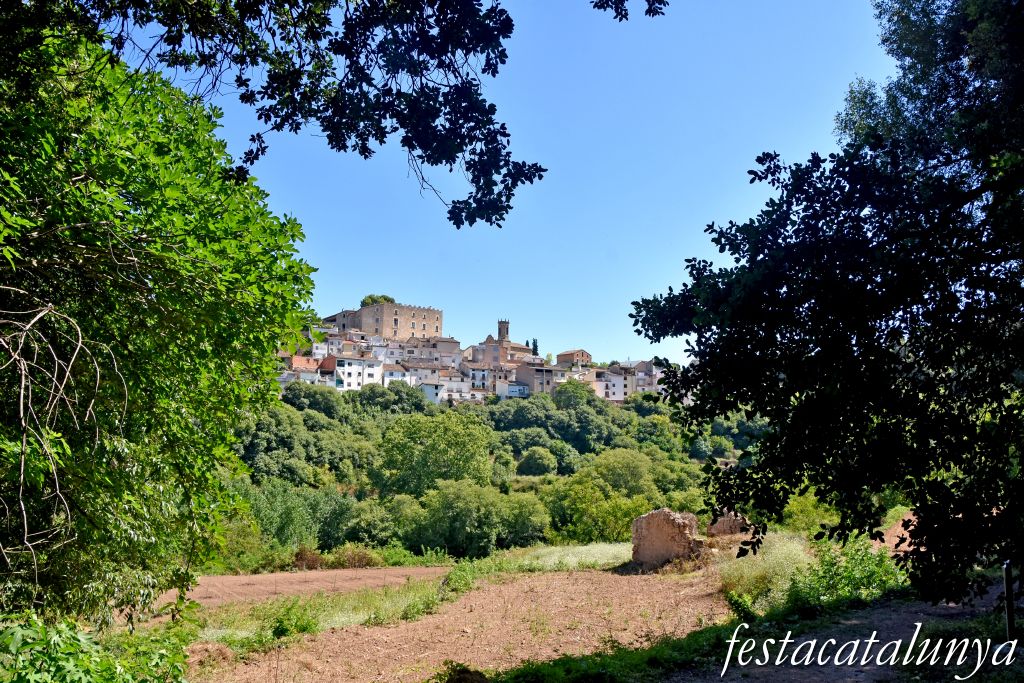 La Torre de Claramunt - Castell 