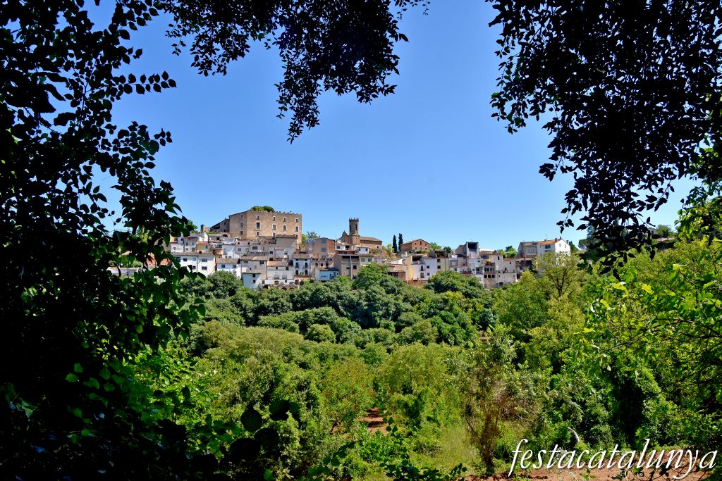 La Torre de Claramunt - Paratge de la Malesa