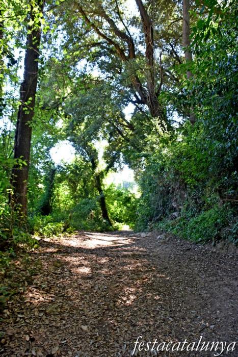 La Torre de Claramunt - Paratge de la Malesa