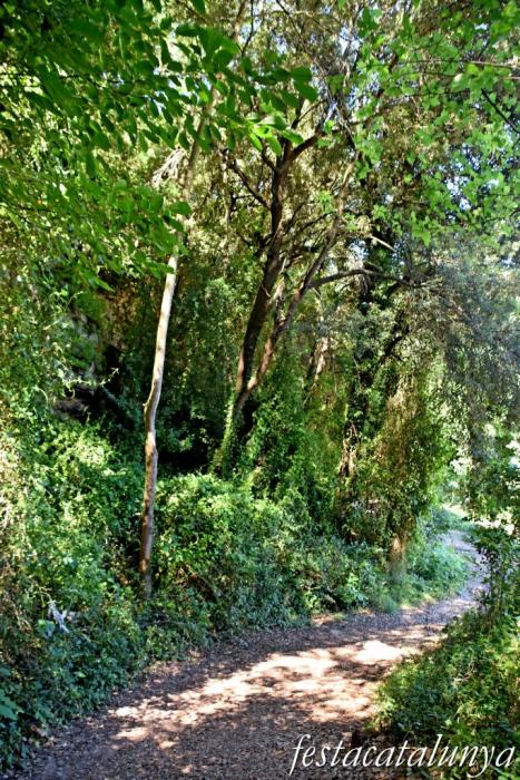 La Torre de Claramunt - Paratge de la Malesa