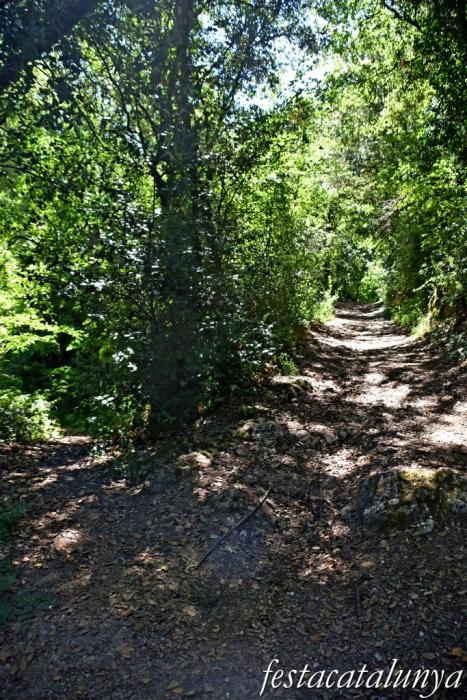 La Torre de Claramunt - Paratge de la Malesa