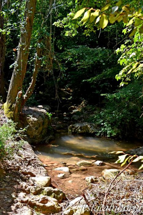 La Torre de Claramunt - Paratge de la Malesa - Riu d'Agost 