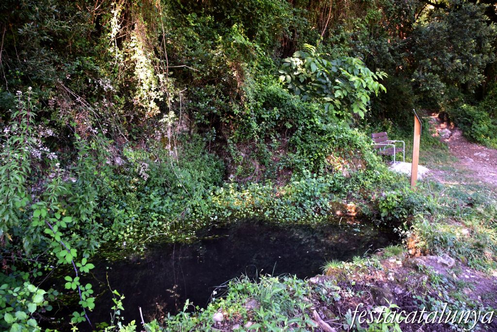 La Torre de Claramunt - Paratge de la Malesa - La Bassa dels Horts