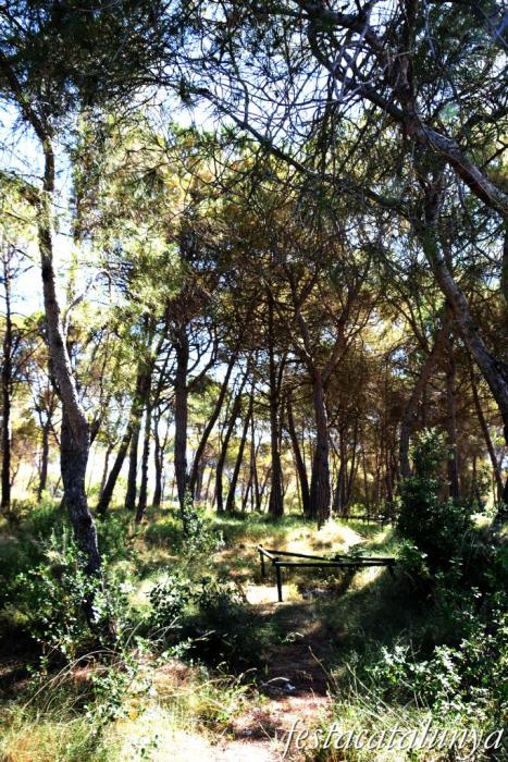 La Torre de Claramunt - Pla de les Sitges del Camaró