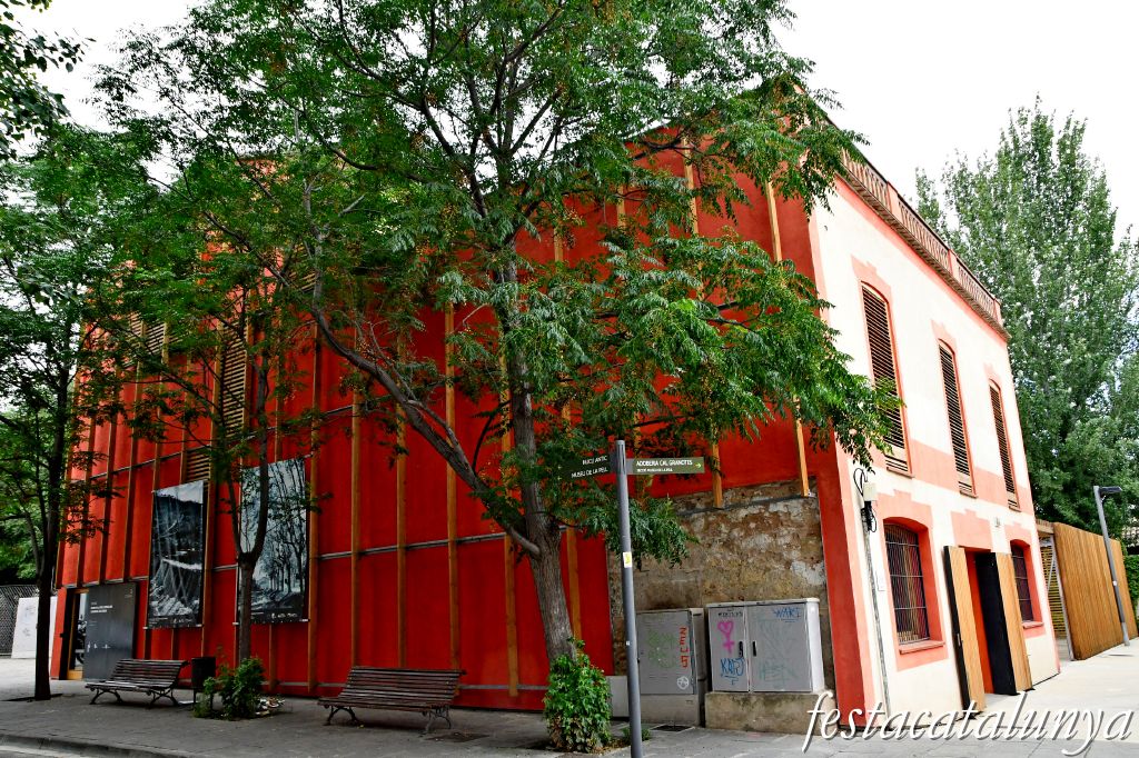 Museu de la Pell d'Igualada i Comarcal de l'Anoia a Igualada ***