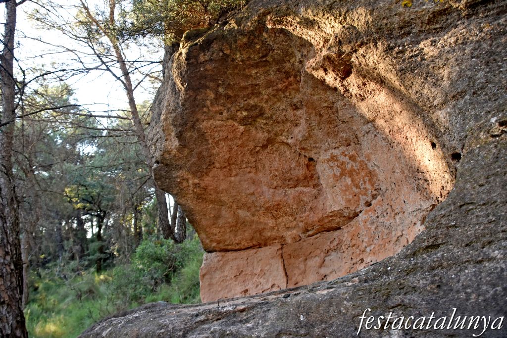 Fornot al collet dels Pastors dels Prats de Rei