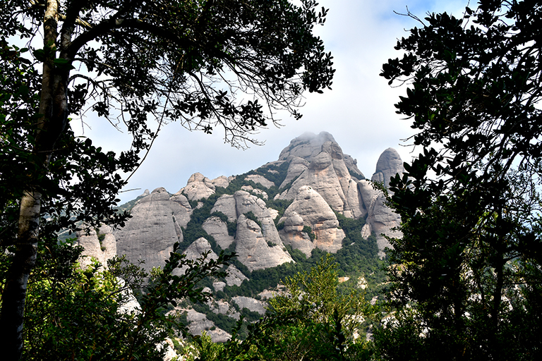 Camí des del funicular de Sant Joan a les capelles de Sant Joan i Sant Onofre a Montserrat ***